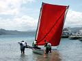 2003-04 martinique 141